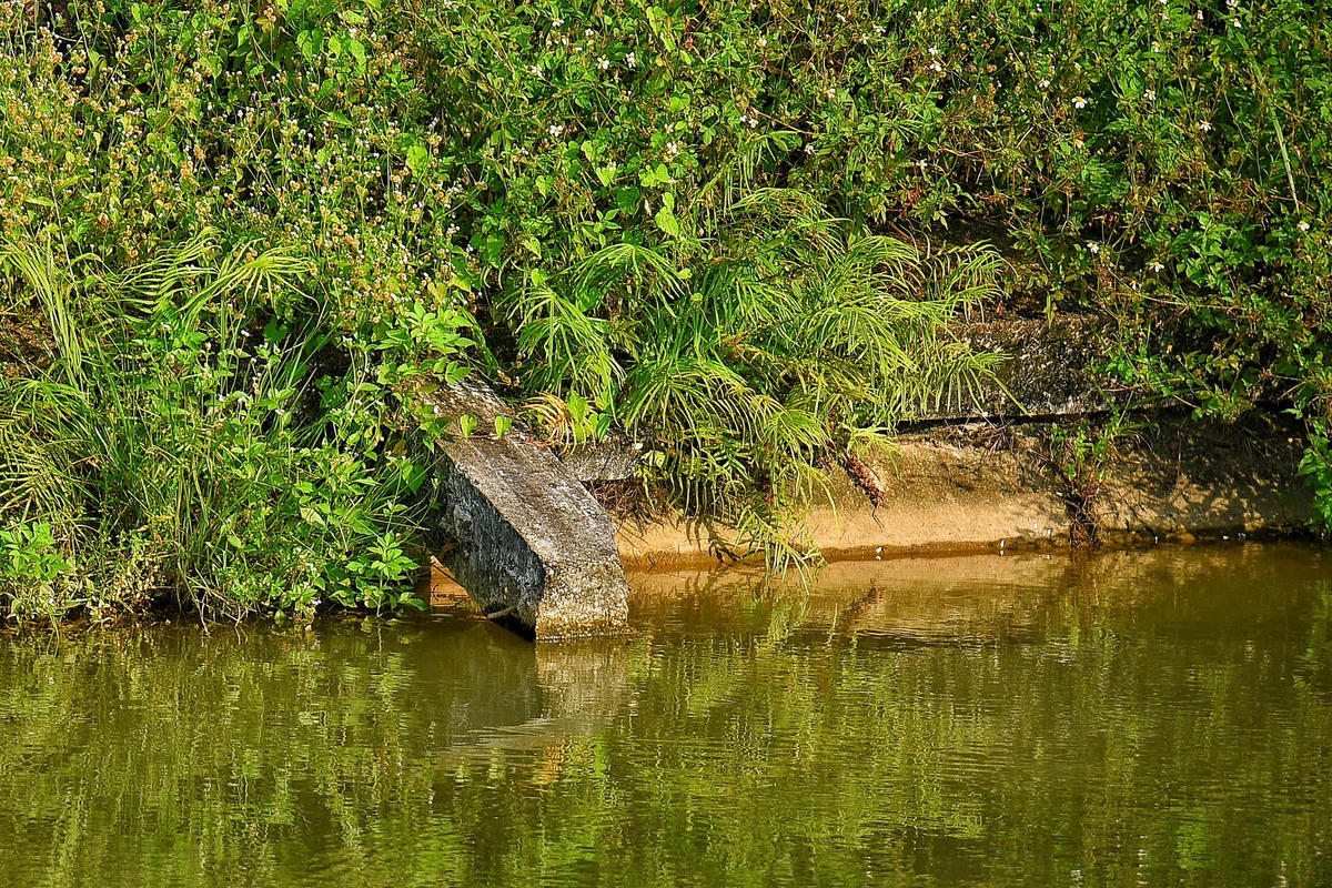 Đại diện Công ty Thủy lợi sông Đáy cho biết, công ty vẫn cho nhân viên đi kiểm tra hệ thống kênh mương thường xuyên. Nguyên nhân chính dẫn đến tình trạng lan can bờ kênh và mái kênh sạt lở là do công trình kênh chính Đan Hoài đã đưa vào sử dụng từ lâu, tốc độ đô thị hóa nhanh dẫn đến nhiều xe trọng tải lớn đi lại gây rung lắc làm ảnh hưởng đến công trình.