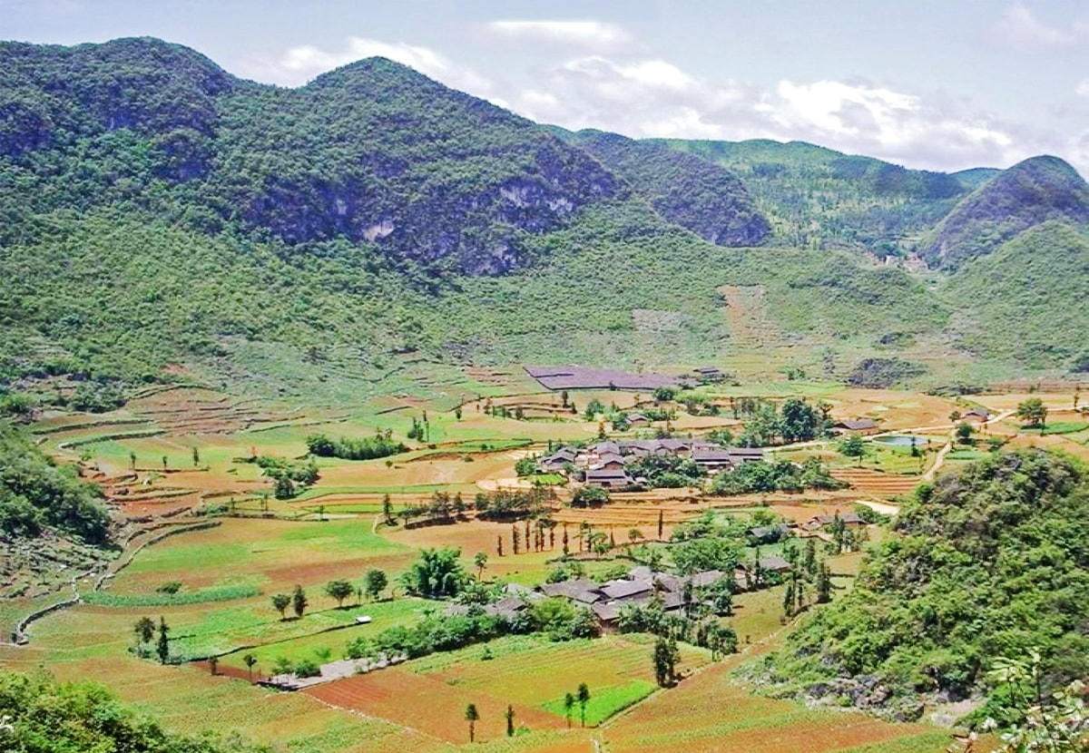 A Lưới (Thừa Thiên- Huế) nằm trong lòng chảo trên đỉnh Trường Sơn nên có thổ nhưỡng và khí hậu đặc thù, phù hợp với nhiều loài cây dược liệu. Ảnh: baodantoc.vn