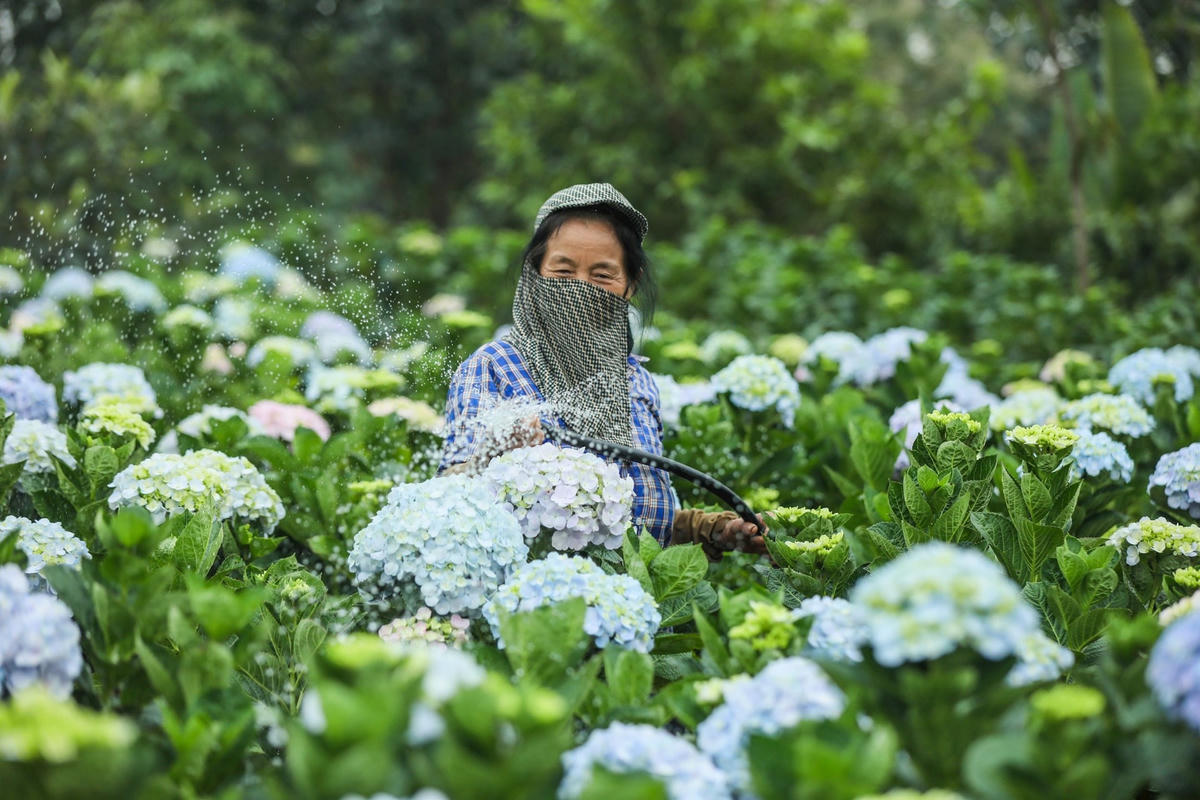 anh-4.jpg