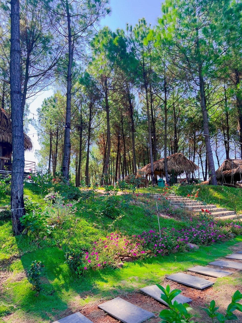 Cảnh thiên nhiên trong lành, rất chill (nhẹ nhàng, lãng mạn).