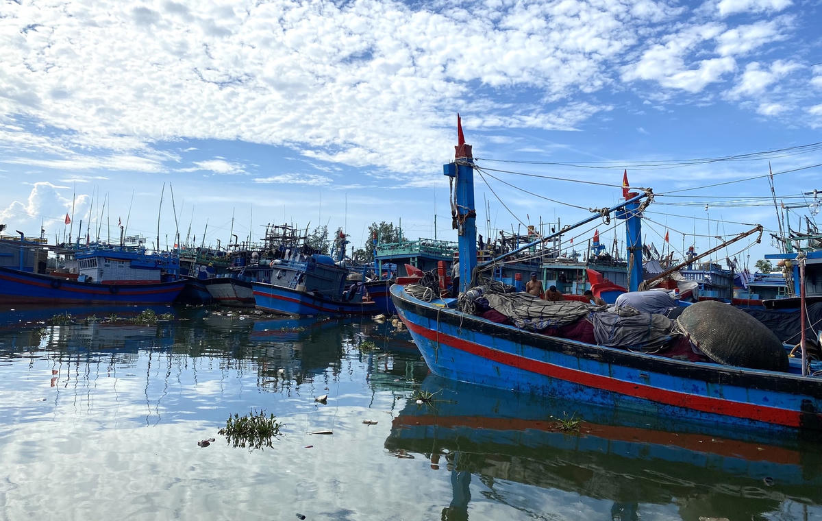Tàu thuyền Quảng Ngãi neo đậu trú tránh bão tại cảng Sa Kỳ.