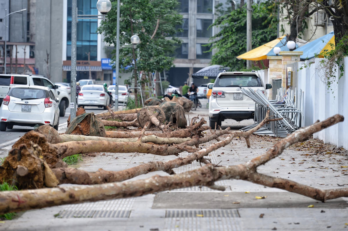 Điều đáng nói, dù dự án mới chỉ đi vào hoạt động được khoảng 3 tháng thì hàng loạt cây xanh trên tuyến đường này bắt đầu có dấu hiệu khô héo, trơ trụi, mất đi sự sống.