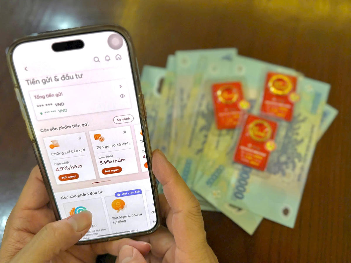 Chuyên gia khuyến cáo nhà đầu tư nên phân bổ vốn vào nhiều kênh đầu tư khác nhau để tránh rủi ro, không nên 