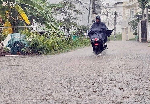Nhiều tuyến đường ở TP Nha Trang bị ngập úng.