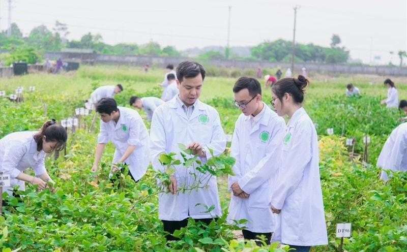 Sinh viên Học viện Nông nghiệp Việt Nam trong giờ thực hành. Ảnh: Thiều Trang.