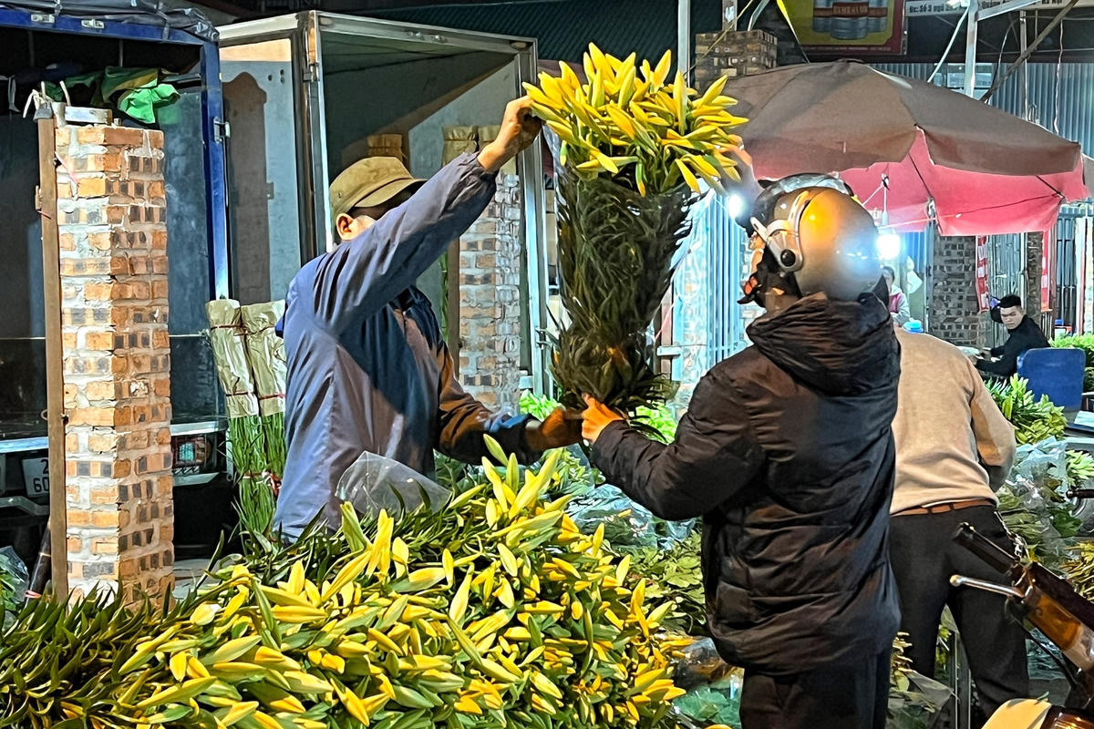 Theo một tiểu thương tại chợ hoa Quảng Bá cho hay, giá bán hoa loa kèn tại chợ từ 30.000-35.000 đồng/bó 10 bông tùy vào độ to hay nhỏ của bông.