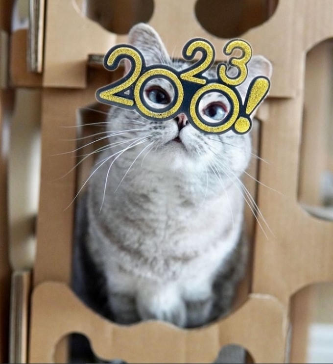 Nala Cat hiện sở hữu 100 triệu USD. Ảnh: Instagram Nala_Cat  