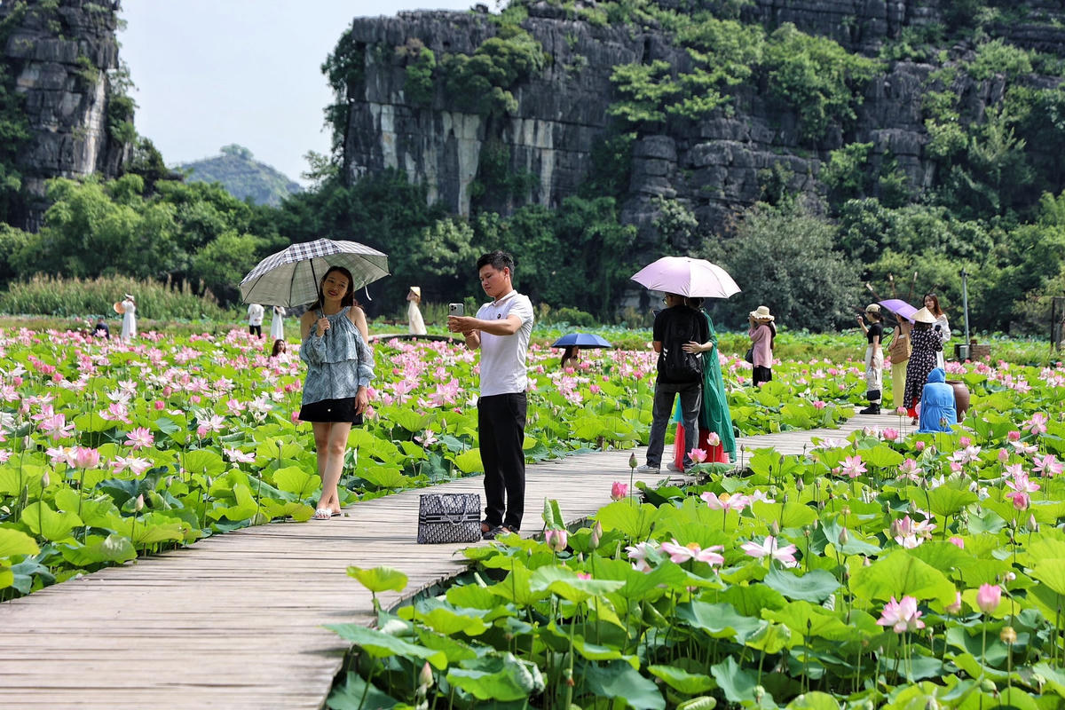 "Khi đến đây tôi khá choáng ngợp khi khung cảnh nơi đây rất đẹp, núi non trùng trùng, cùng đầm sen nở rộ với nhiều màu sắc. Đặc biệt, không khí nơi đây vô cùng mát mẻ, tươi mát, cảnh vật tựa như những bức tranh hút mắt", chị Trang cho hay.