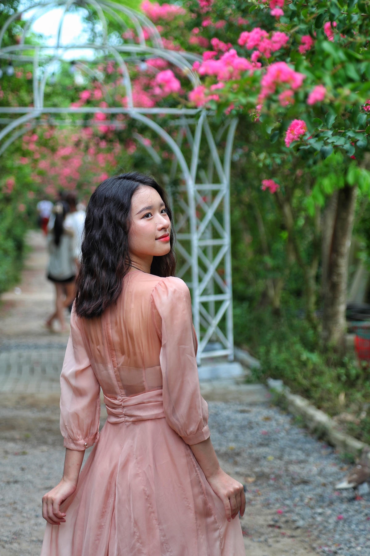 Những ngày đầu tháng 7, hoa tường vi bắt đầu thi nhau khoe sắc tạo nên khung cảnh vô cùng lãng mạn.