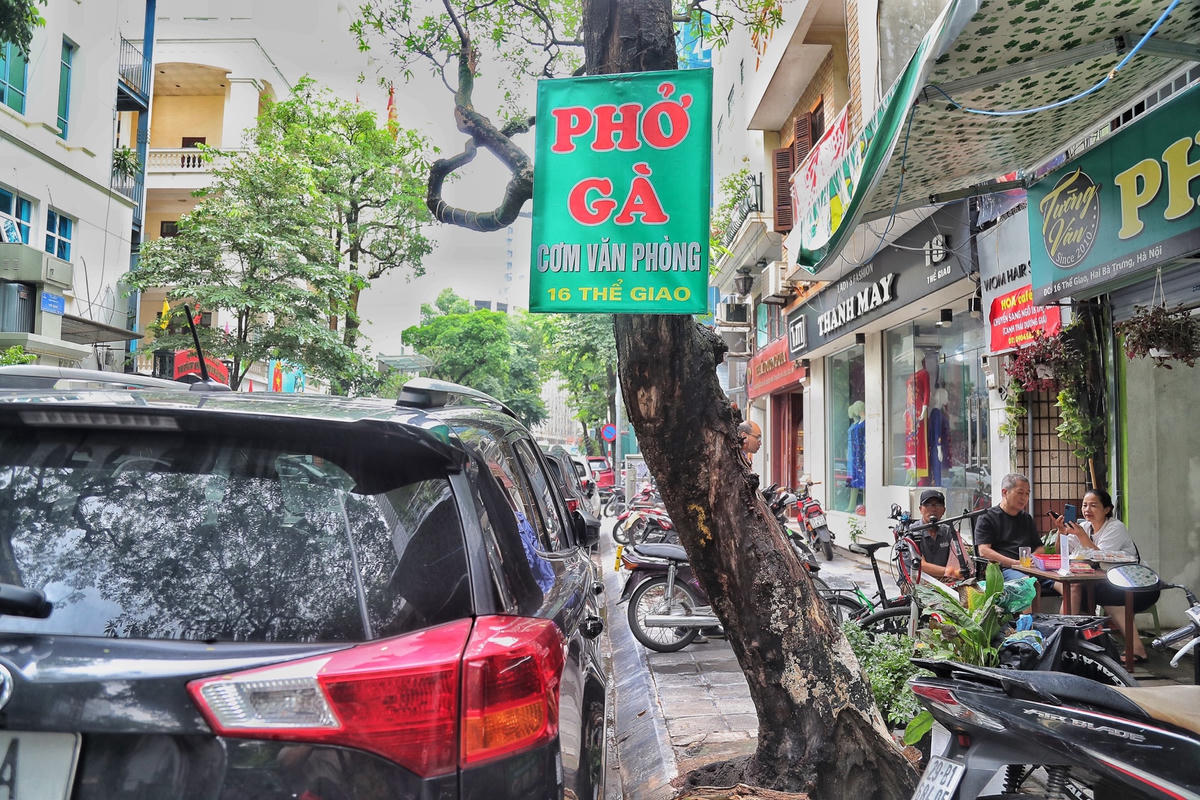 Tại số 16 Thể Giao một cây xanh đã mọc cả nấm sau thời gian dài không được chặt hạ.