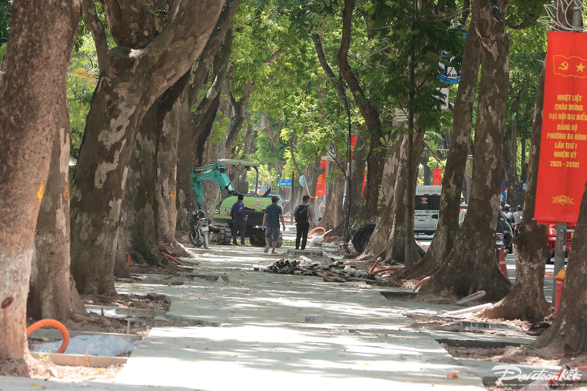 ảnh dỡ rào25