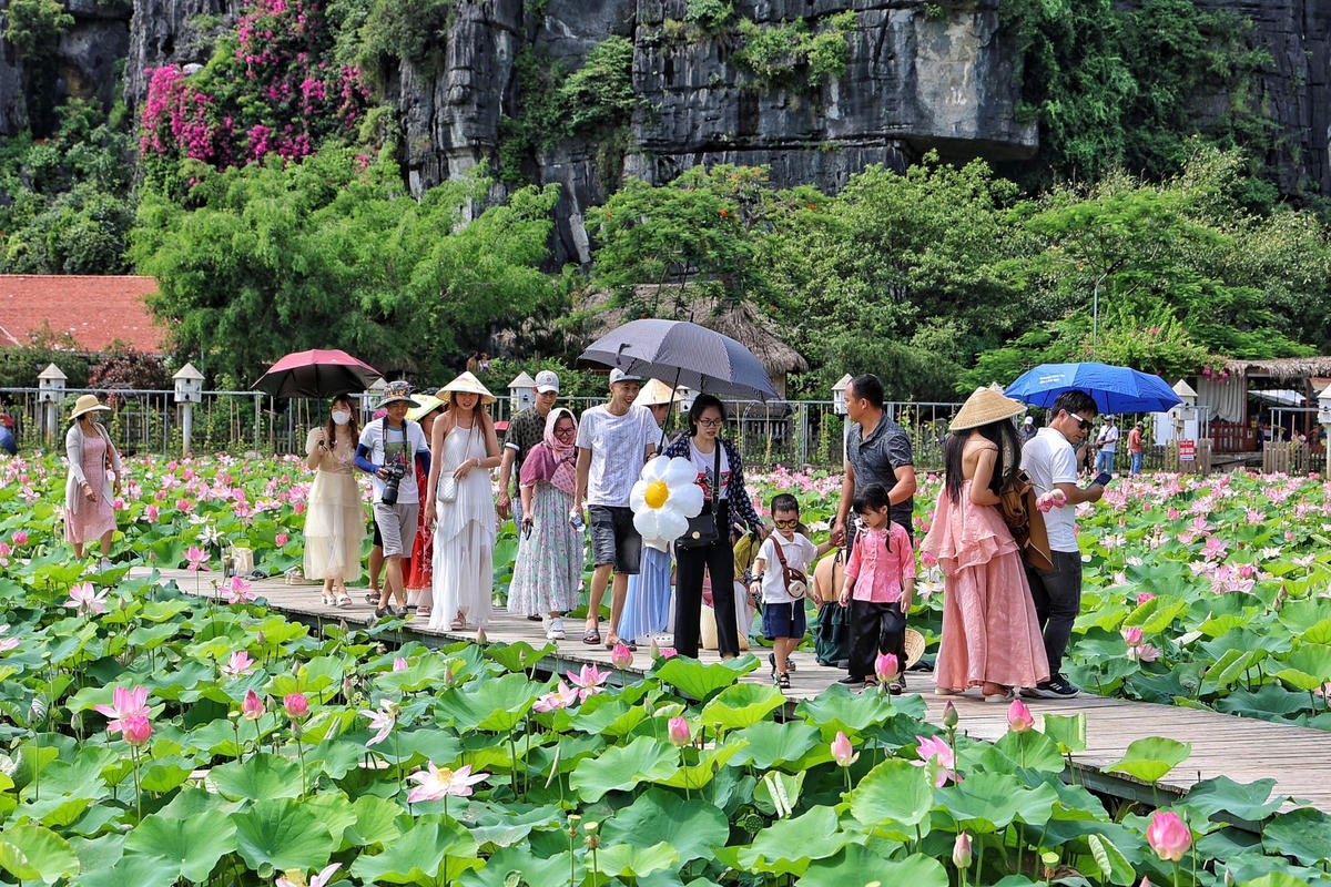 Cứ mỗi độ tháng 6 về, Đầm sen Vân Long dưới chân núi Ngoạ Long lại là một trong những nơi hút khách du lịch nhiều nhất tại tỉnh Ninh Bình vì nơi đây được bao phủ xung quanh bởi núi non trùng điệp, cùng với sắc hồng, trắng của hoa sen khiến nơi đây trở nên nổi bật.