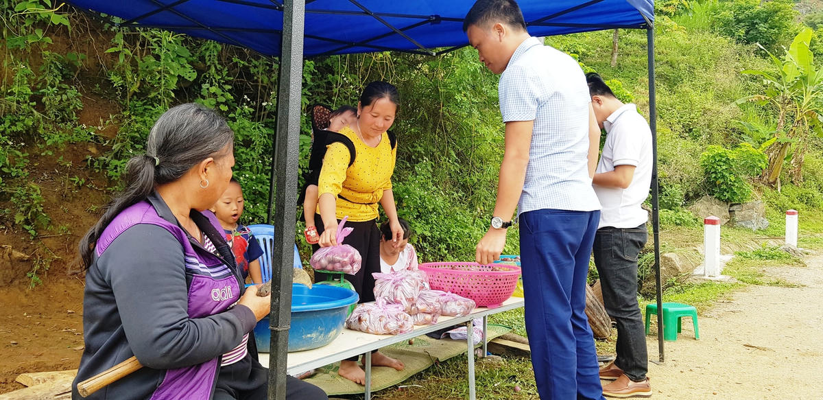 Cây mận đã và đang góp phần giúp đồng bào ở Nhi Sơn, Pù Nhi phát triển kinh tế.  