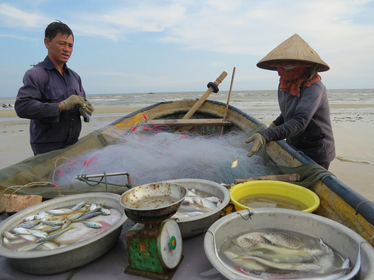 Ảnh 1-Về biển La Gàn đón bình minh, gỡ cá thúng cùng ngư dân điểm đến