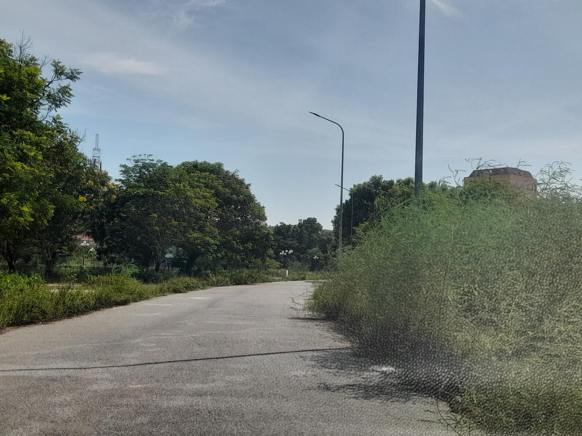 Từ các lối đi dạo...