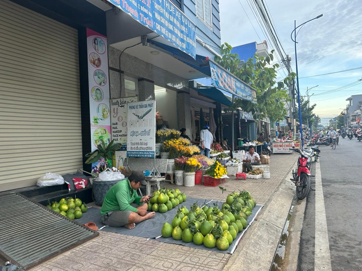 Giá bưởi thấp, nhiều nông dân chọn cách đem ra đường để bán mong được giá cao.