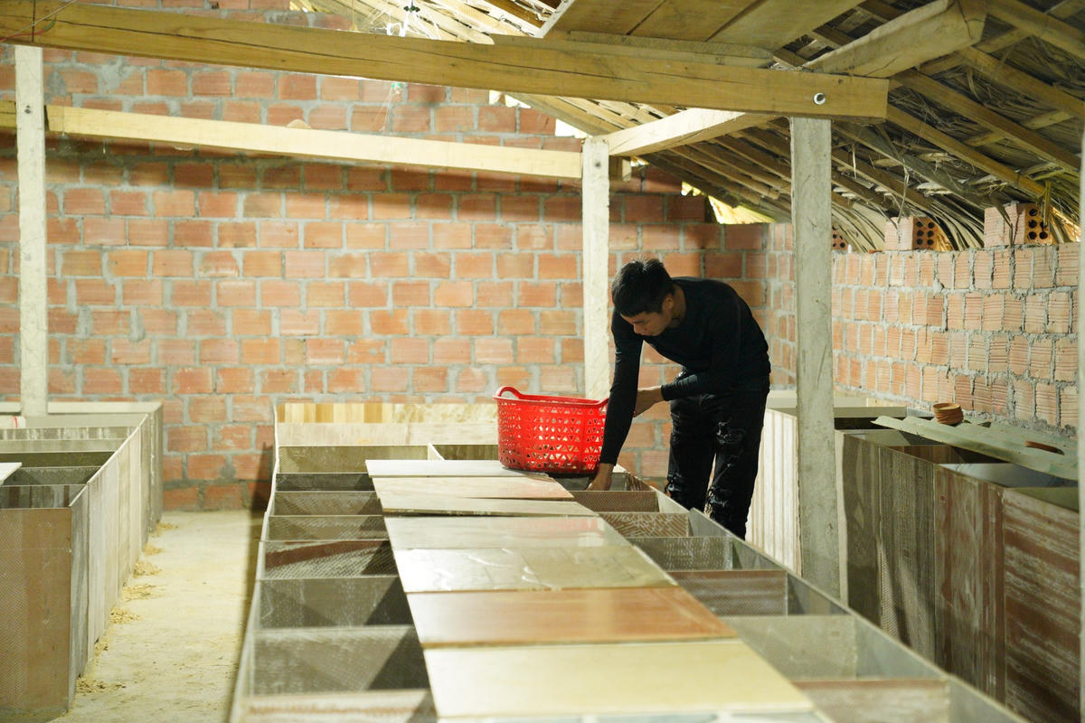 Mô hình trang trại nuôi dúi của anh Trần Đình Nhâm.