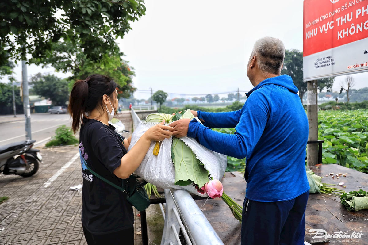 sen_bach_diep_ho_tay-le-khanh29.jpg