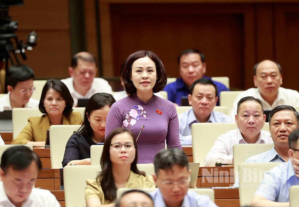 Đại biểu Quốc hội Trần Thị Hồng Thanh (đoàn ĐBQH Ninh Bình) chất vấn Bộ trưởng Bộ Khoa học và Công nghệ, tại Kỳ họp thứ 5, Quốc hội khóa XV Nguồn: quochoi.vn.