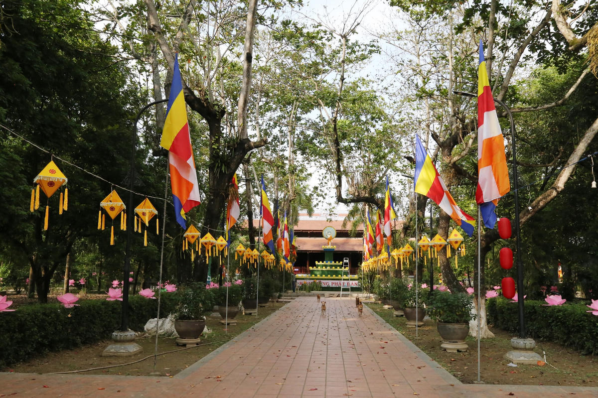 Lễ hội năm nay gồm nhiều hoạt động trải khắp các địa điểm Nghinh Lương Đình, Liễu Quán, Quốc tự Diệu Đế, Tổ đình Từ Đàm... với các chương trình chính như: Lễ Thắp sáng 7 đóa hoa sen trên sông Hương, triển lãm văn hóa Phật giáo, ẩm thực chay, diễu hành xe hoa quanh thành phố Huế và các vùng phụ cận, lễ Mộc dục, rước Phật và Đại lễ Phật đản chính thức vào ngày 15 âm lịch tại Tổ đình Từ Đàm…