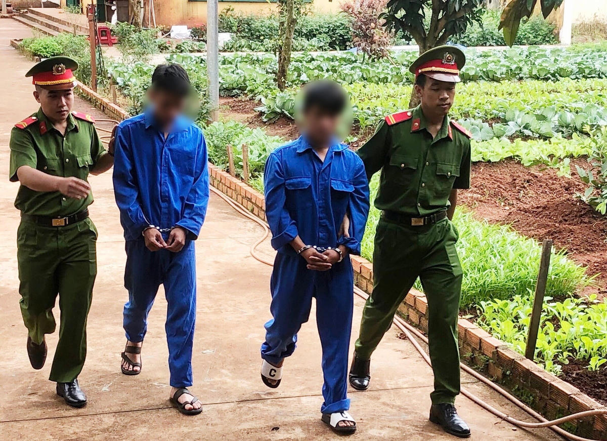 Các đối tượng bị tạm giữ hình sự về hành vi trộm cắp quả sầu riêng.