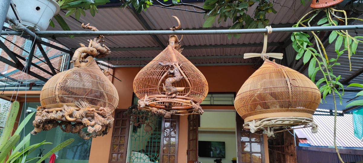 Những chiếc lồng chim do nghệ nhân  Trần Văn Sình chế tác.  