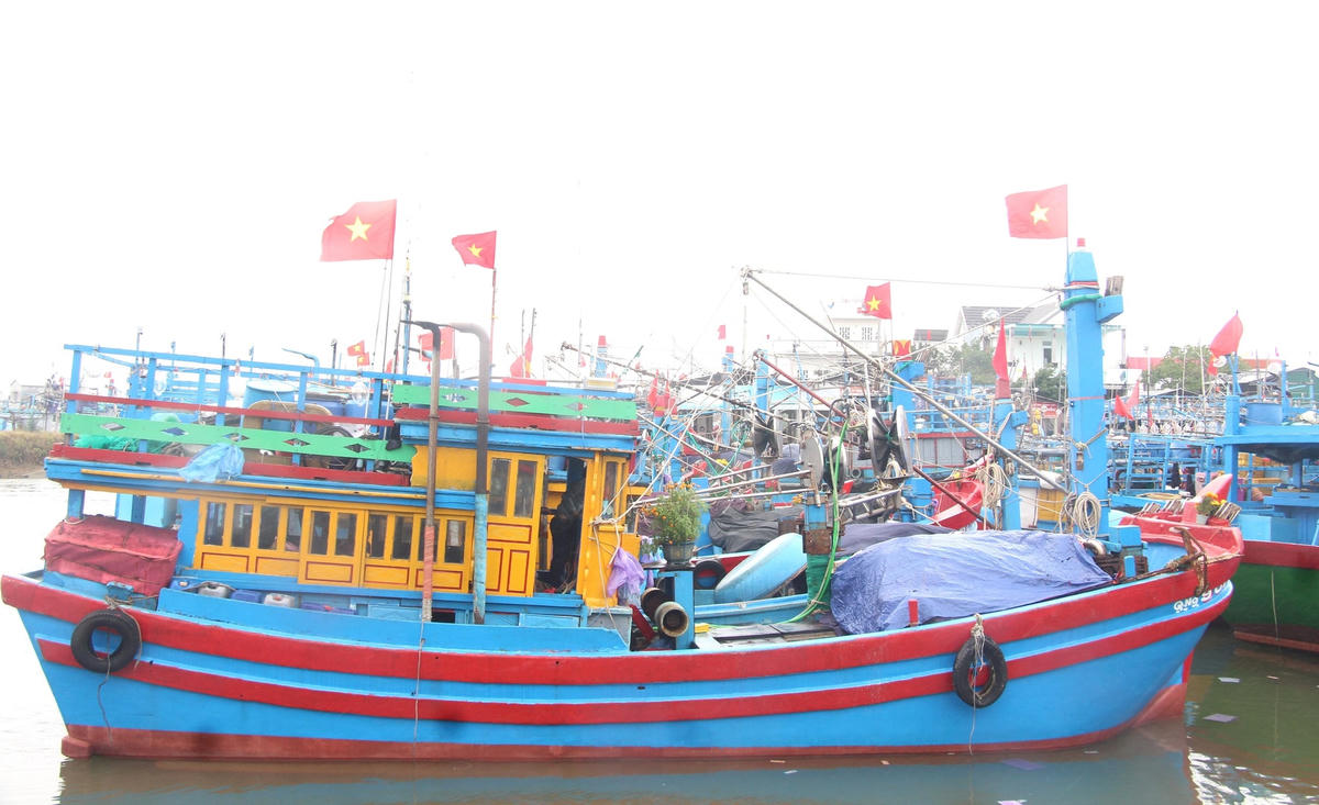 Nhiều tàu thuyền đang chuẩn bị vươn khơi.