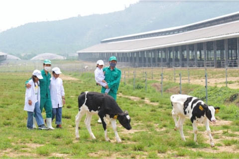 Những khoảnh khắc đẹp trên hành trình của Quỹ sữa Vươn cao Việt Nam năm thứ 15