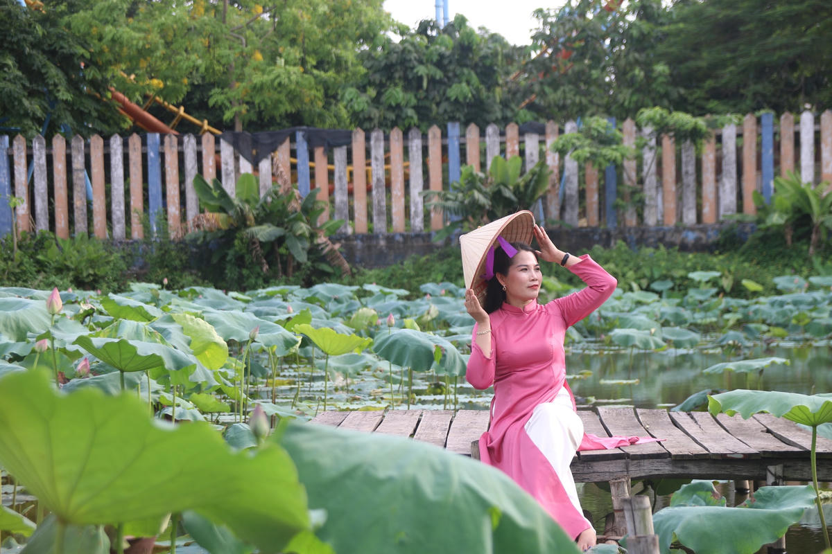 Cứ độ đầu tháng 6, những đầm sen tại Tây Hồ bắt đầu nở rộ thu hút đông đảo người dân đến chụp ảnh. Tại đây có đầy đủ các dịch vụ từ thuê quần áo, trang điểm đến chụp ảnh.