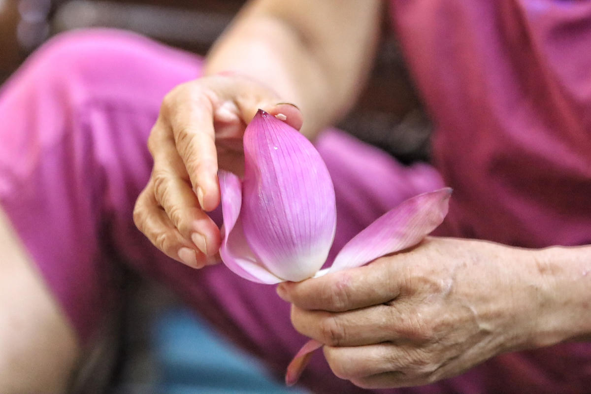 Việc lấy gạo sen phải rất khéo léo, nhẹ nhàng, nhanh và linh hoạt để không bay mất hương thơm.