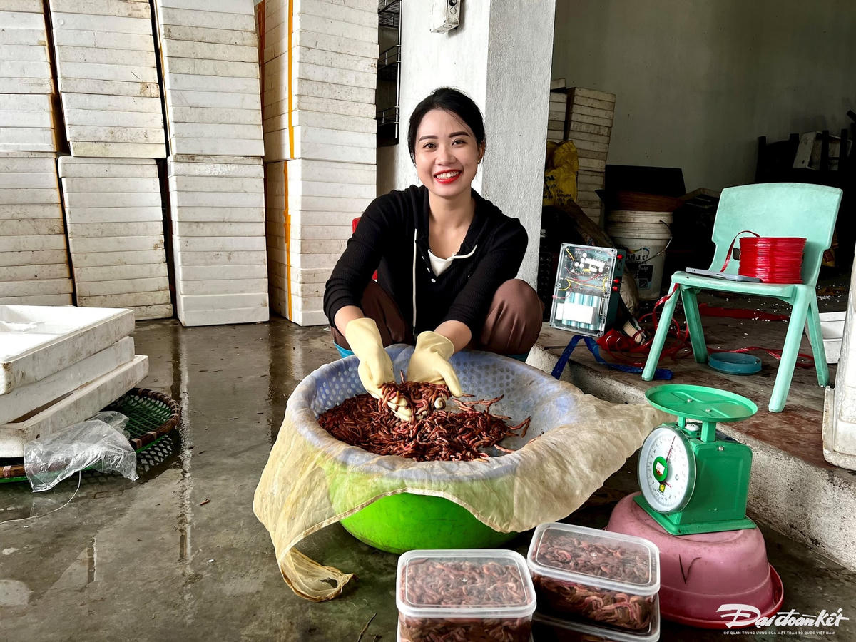 Sau khi nhặt hết tạp chất, rươi được rửa sạch, đóng vào các hộp nhựa loại 0,5kg, loại 1kg để sẵn sàng giao cho khách. 