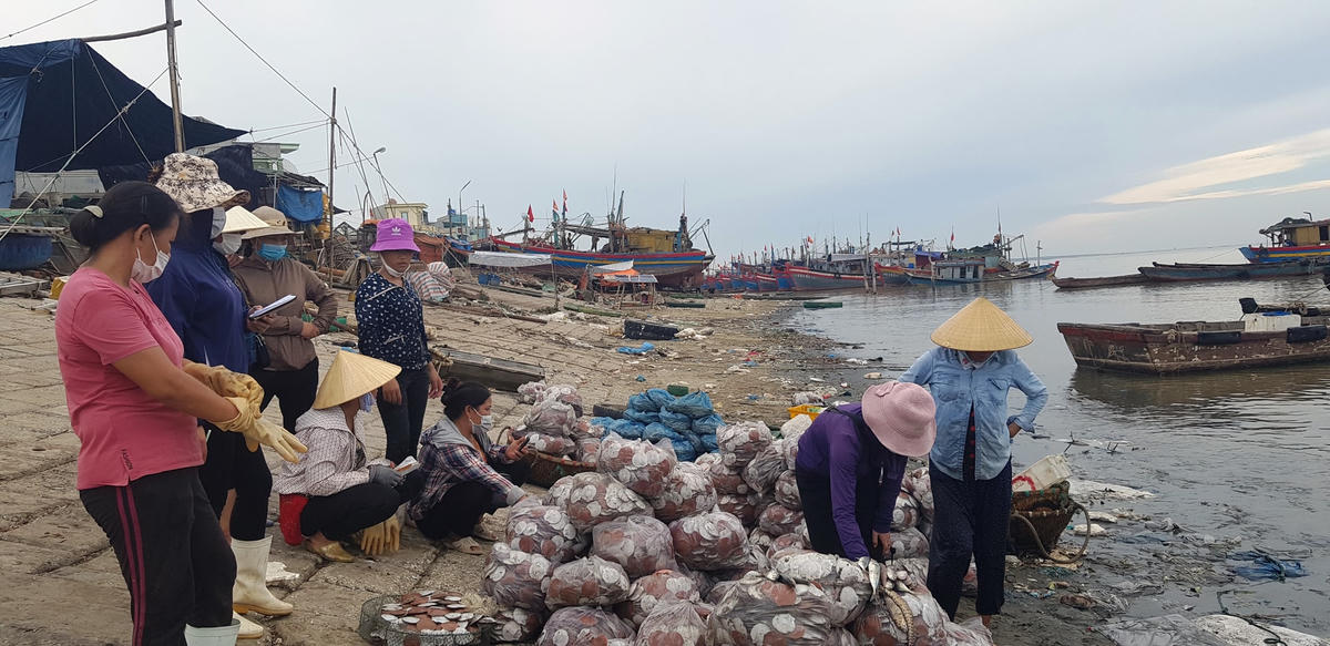 Các xã ven biển của huyện Hậu Lộc đang gặp rất nhiều khó khăn trong xử lý rác thải từ biển.