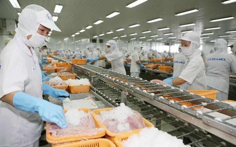 Thủy sản là một trong những mặt hàng đang tận dụng hiệu quả EVFTA.