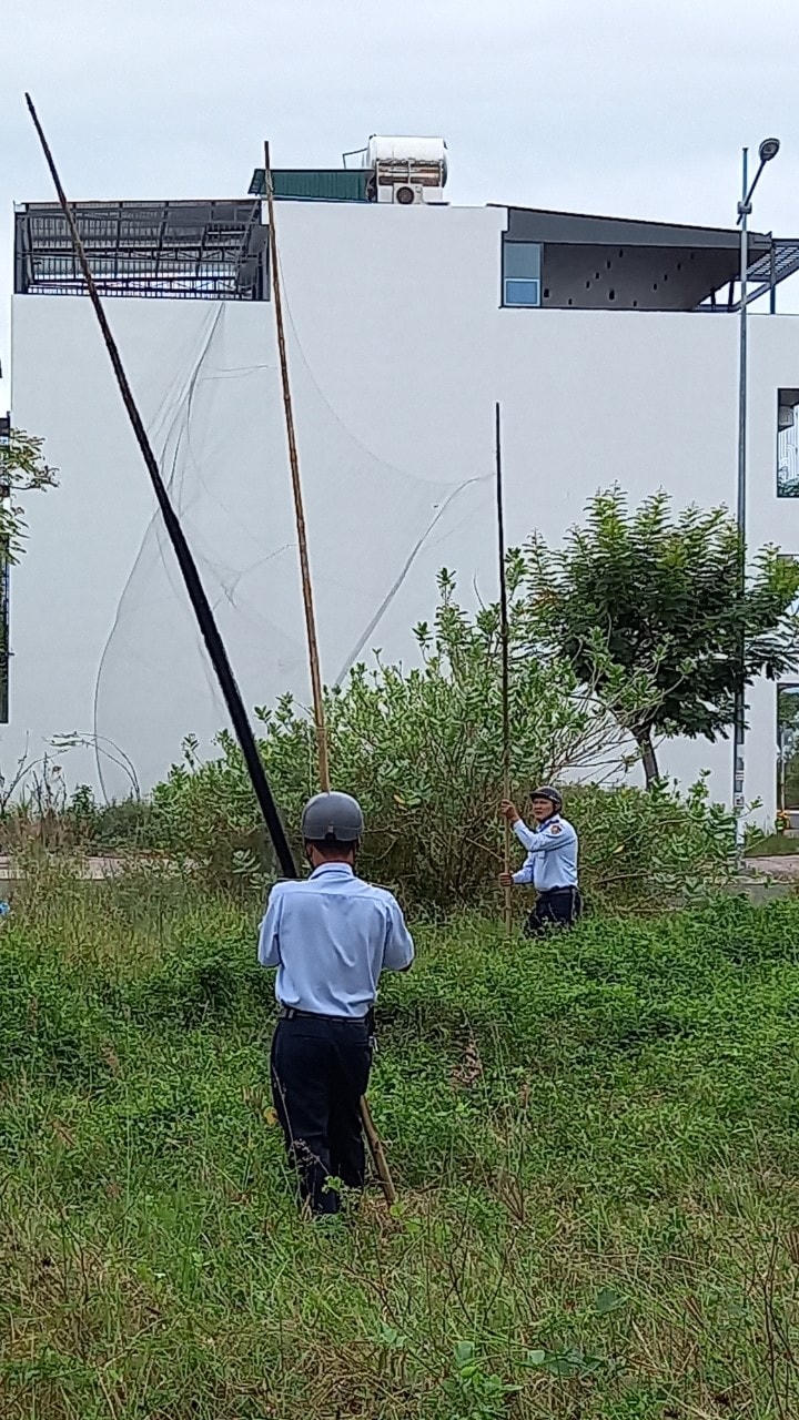 Công cụ săn bắt chim yến trái phép.