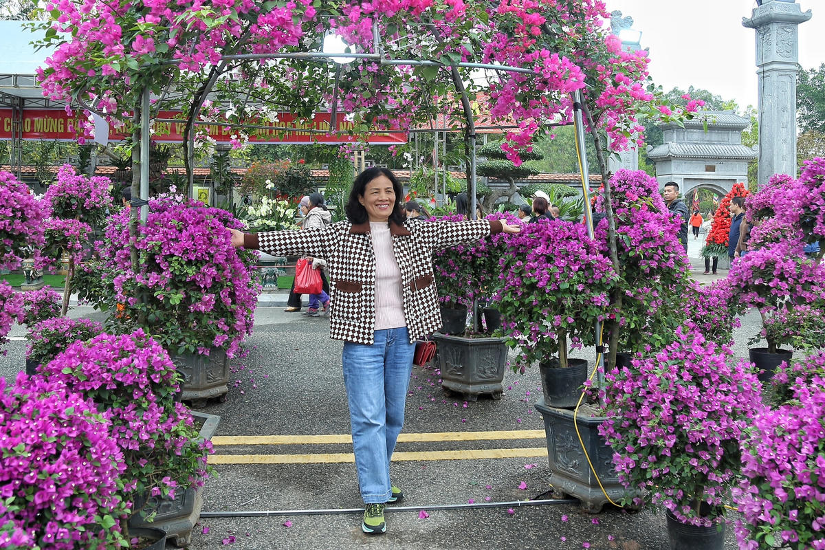 Không chỉ có hoa hồng mà tại lễ hội cũng xuất hiện rất nhiều loài hoa khác.