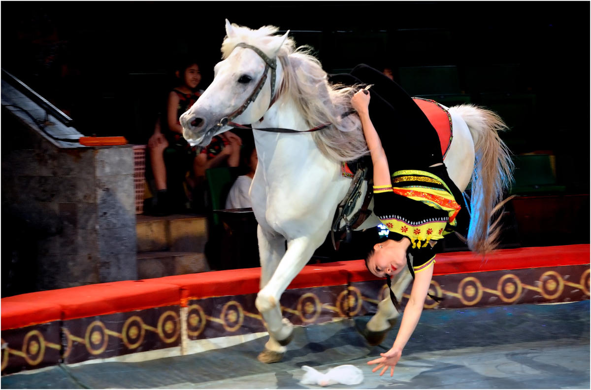 Tiết mục Cướp vợ - “Ngựa phi” (Ngày hội H’Mông)