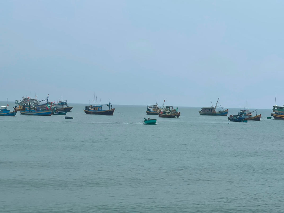 Các tàu cá hoạt động trên biển Bình Thuận.  
