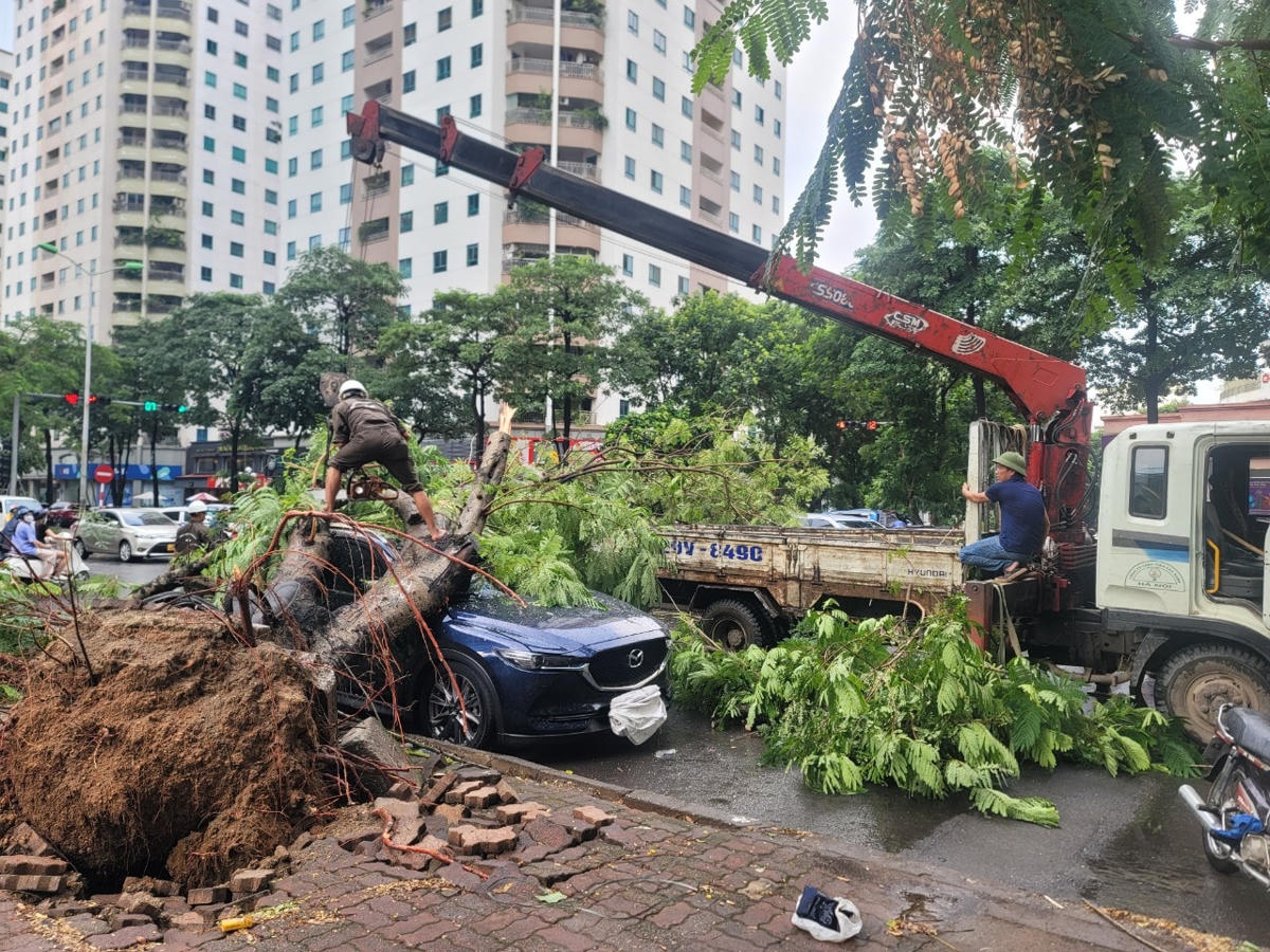 Nhận được tin phản ánh của quần chúng, Công ty Công viên Cây xanh Hà Nội đã ngay lập tức điều người và công cụ tới hiện trường.