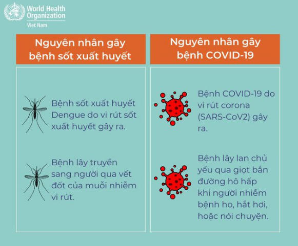 WHO hướng dẫn cách phân biệt sốt xuất huyết và Covid-19