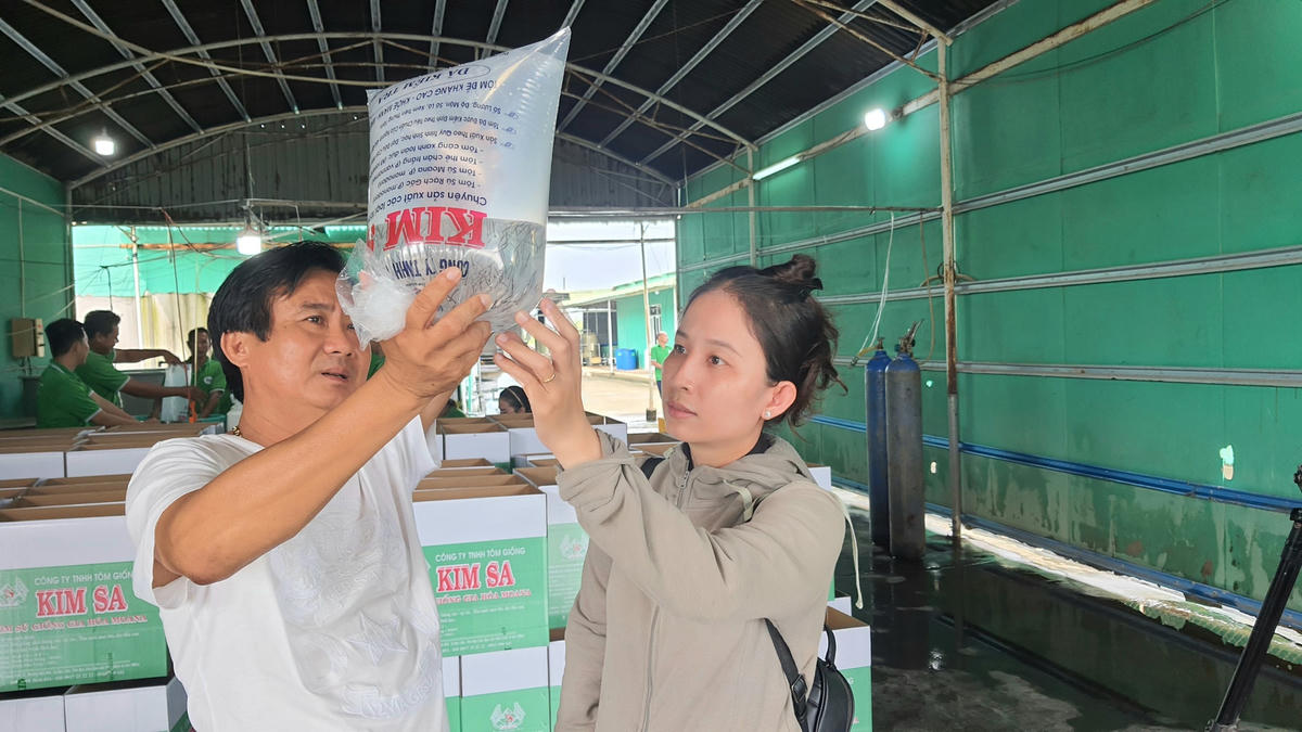 Hiện toàn tỉnh có 349 cơ sở sản xuất - kinh doanh tôm giống, công suất dao động từ 32 - 35 tỷ post/năm.