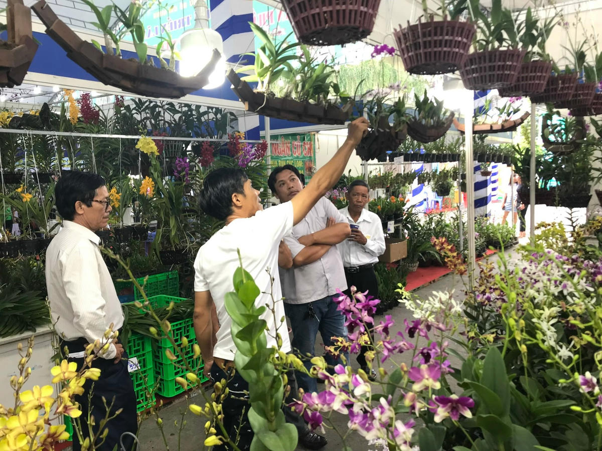 Khách tham quan một mô hình trồng lan tại Triển lãm sản phẩm nông nghiệp tiêu biểu.