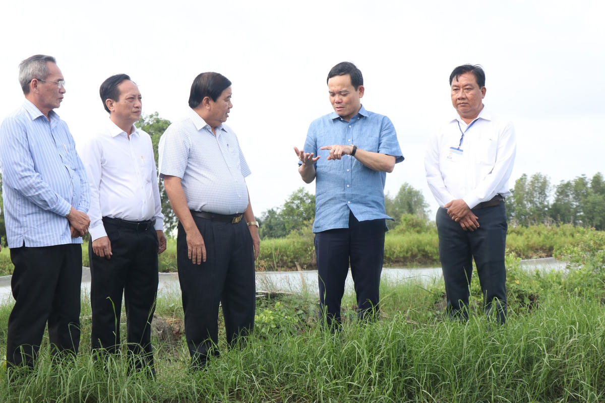 Phó Thủ tướng Trần Lưu Quang tham quan các mô hình sản xuất tại thị xã Giá Rai, tỉnh Bạc Liêu.