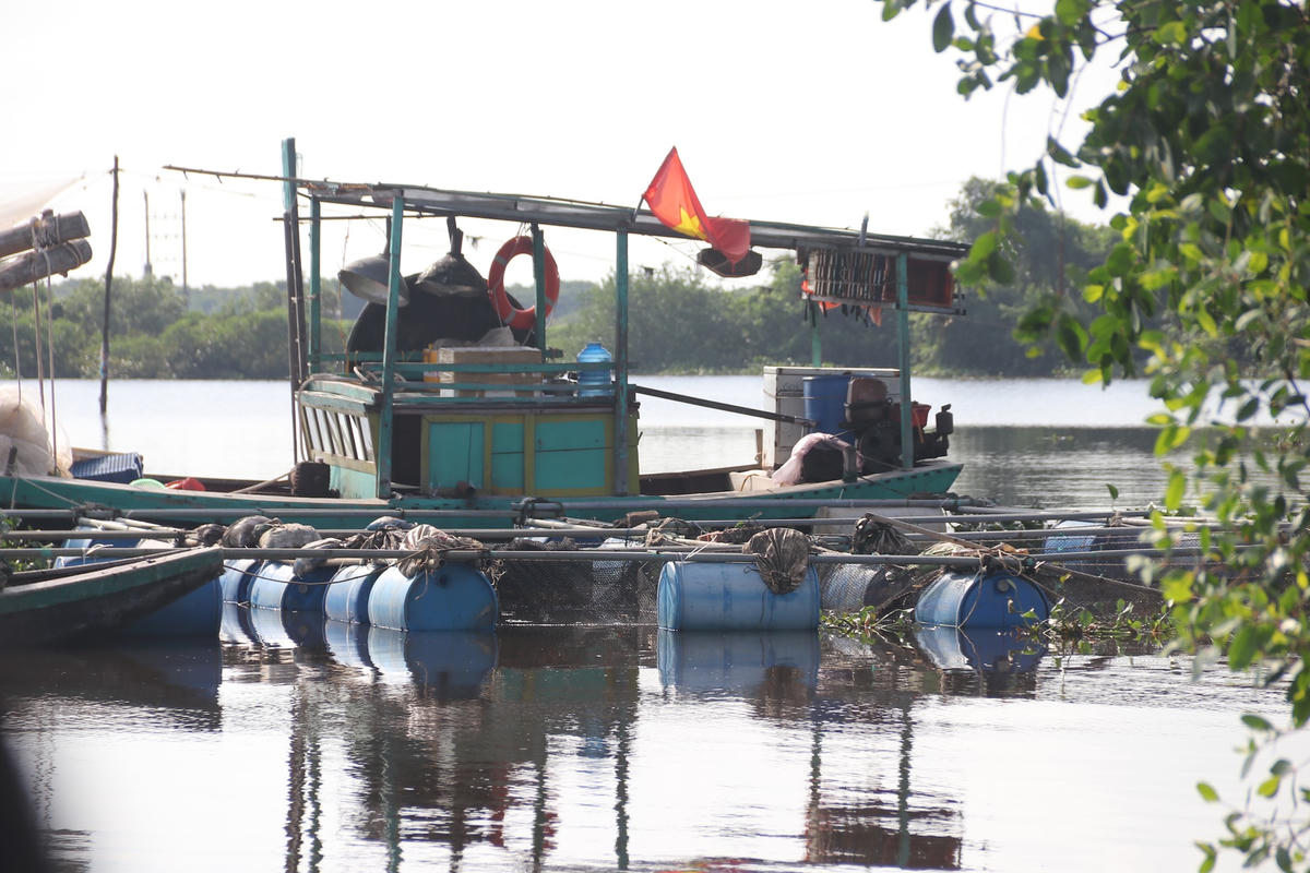 Chi cục Thủy sản Hà Tĩnh đề nghị người nuôi tạm dừng các hoạt động thả nuôi cá vào thời điểm hiện tại và theo dõi thường xuyên.