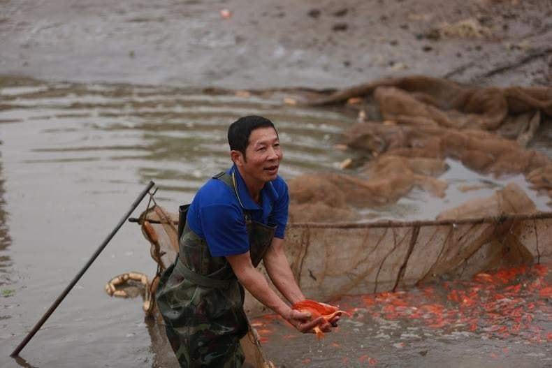 Niềm phấn khởi của người dân khi năm nay cá đẹp, bán được giá