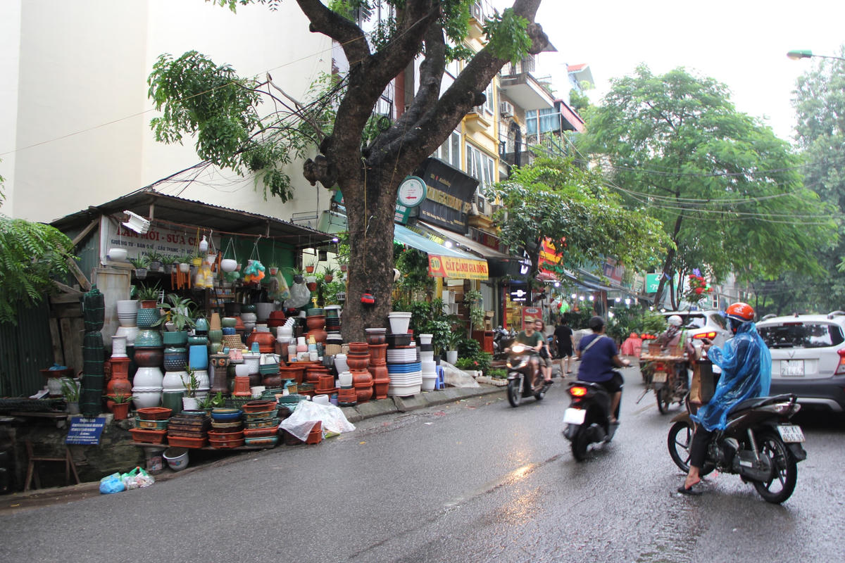 Hà Nội: Vỉa hè đường Hoàng Hoa Thám bị chiếm dụng để bày bán cây cảnh, gốm sứ