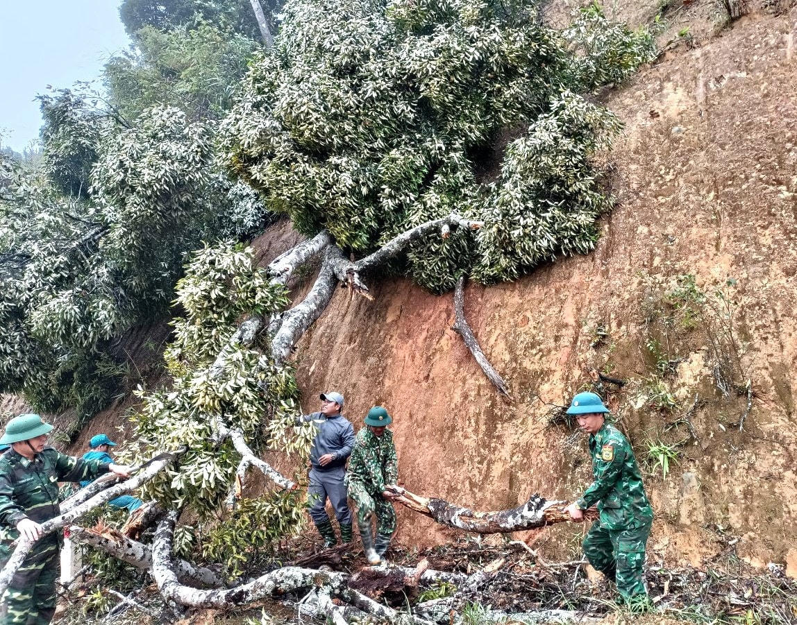 Lực lượng của huyện Tây Giang thu dọn cây cối ngã đổ.