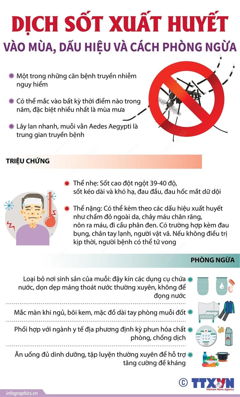 Dịch sốt xuất huyết vào mùa, dấu hiệu và cách phòng ngừa