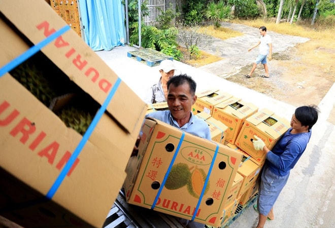 Vận chuyển sầu riêng xuất khẩu đi Trung Quốc tại Vựa trái cây Hùng Loan, 94 QL20, thị trấn Tân Phú, huyện Tân Phú (Đồng Nai). (Ảnh: Hồng Đạt/TTXVN) xuat-khau-rau-qua-2-1735.jpg