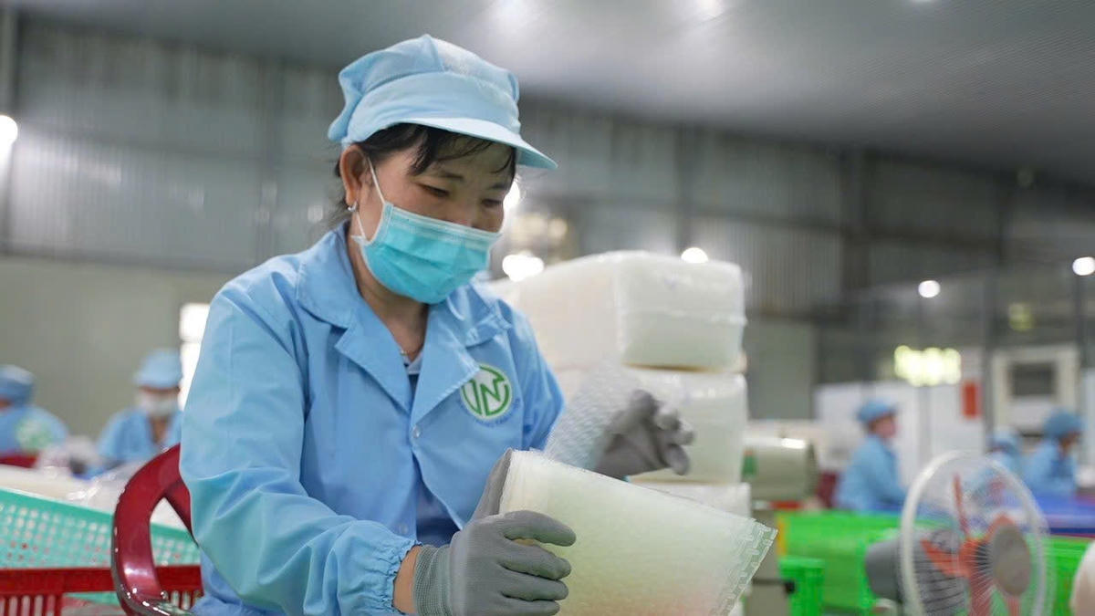 Ảnh 4 -Bài chuyển đổi xanh 