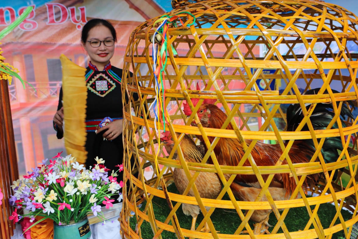 Chị Trần Thị Thu Hường (đội thi xã Phong Dụ) chia sẻ: “Hội thi là cơ hội để quảng bá thương hiệu gà Tiên Yên đến với du khách và bạn bè gần xa. Giống gà Tiên Yên đa số đều được chăn thả ở đồi, thịt săn chắc mà không bị dai, đặc biệt phần da vàng ươm”. Bên cạnh đó, để đảm bảo gà được trong trạng thái tốt nhất, các đội thi còn bố trí lực lượng để quạt mát, tiếp nước… cho gà.